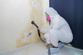 Best HVAC Mold Inspection and Cleaning in De Leon, TX